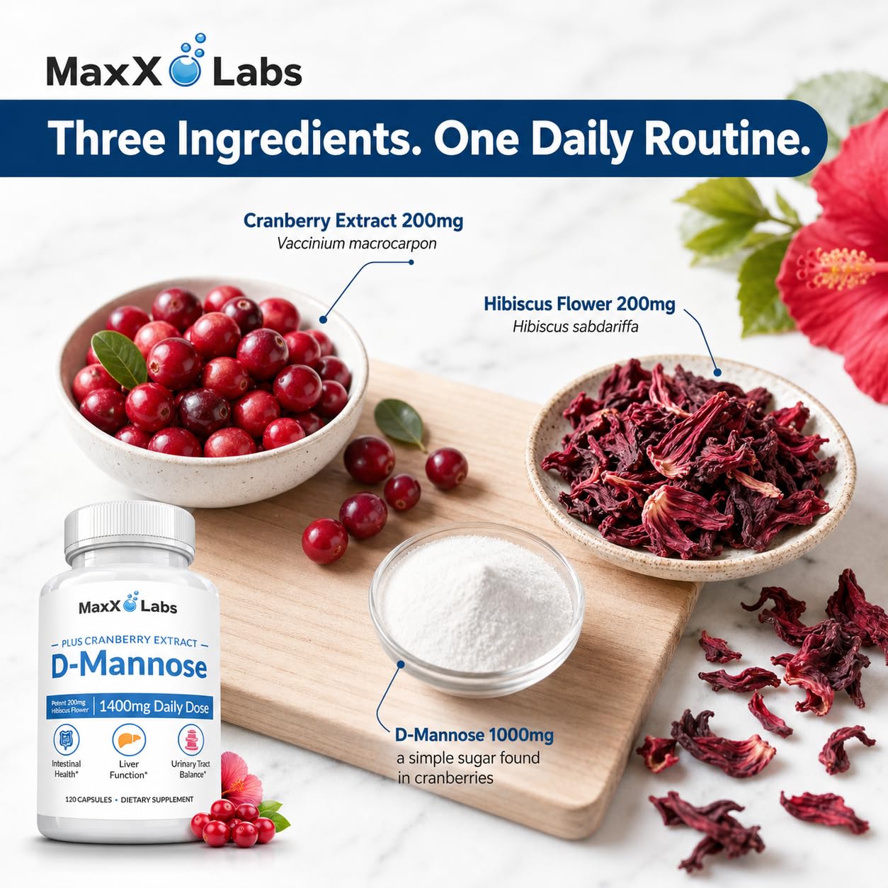 MaxX Labs arándano e hibisco juntos para destacar ingredientes