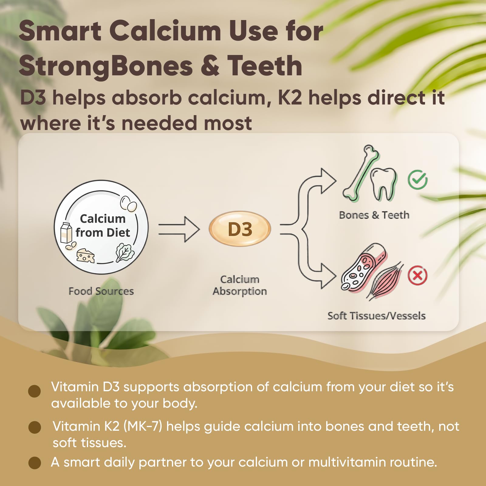 Etiqueta Megacephalus con lista de ingredientes D3 10000 IU y K2 MK‑7, información transparente