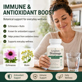 Megacephalus Kavifo ingredientes naturales diente de león y bardana para limpieza