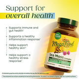 MegaFood textura del contenido en polvo de ingredientes marinos, aspecto natural