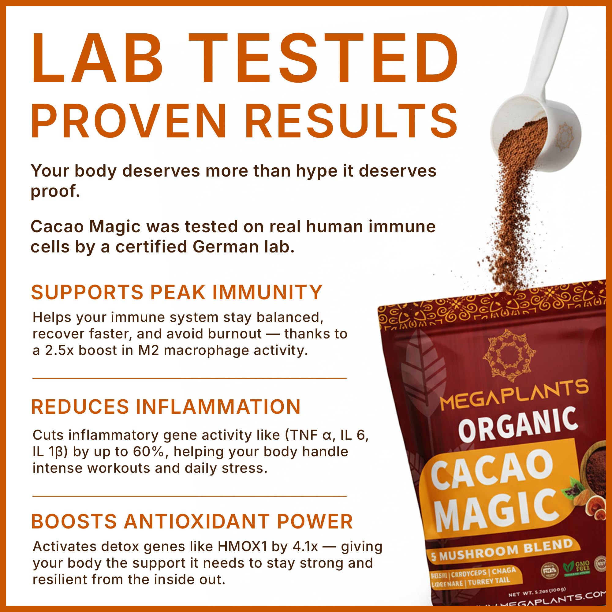 MEGAPLANTS cacao servido en taza humeante listo para beber