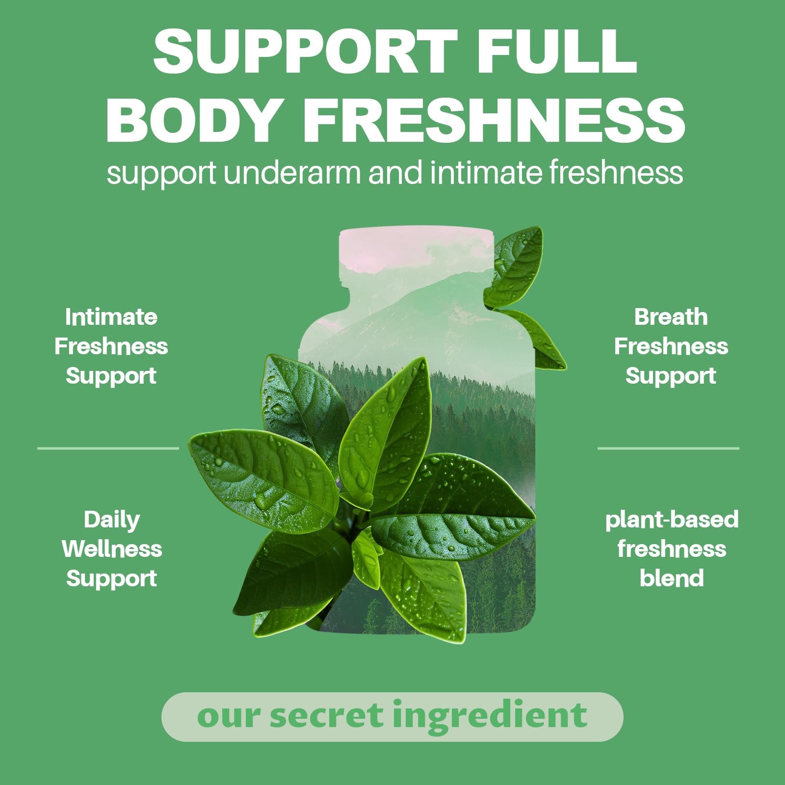 MEGNETA perejil, menta y clorofila juntos, ilustran ingredientes naturales