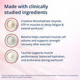 Metagenics Creatine UP cuchara medidora indicando dosis precisa por servicio