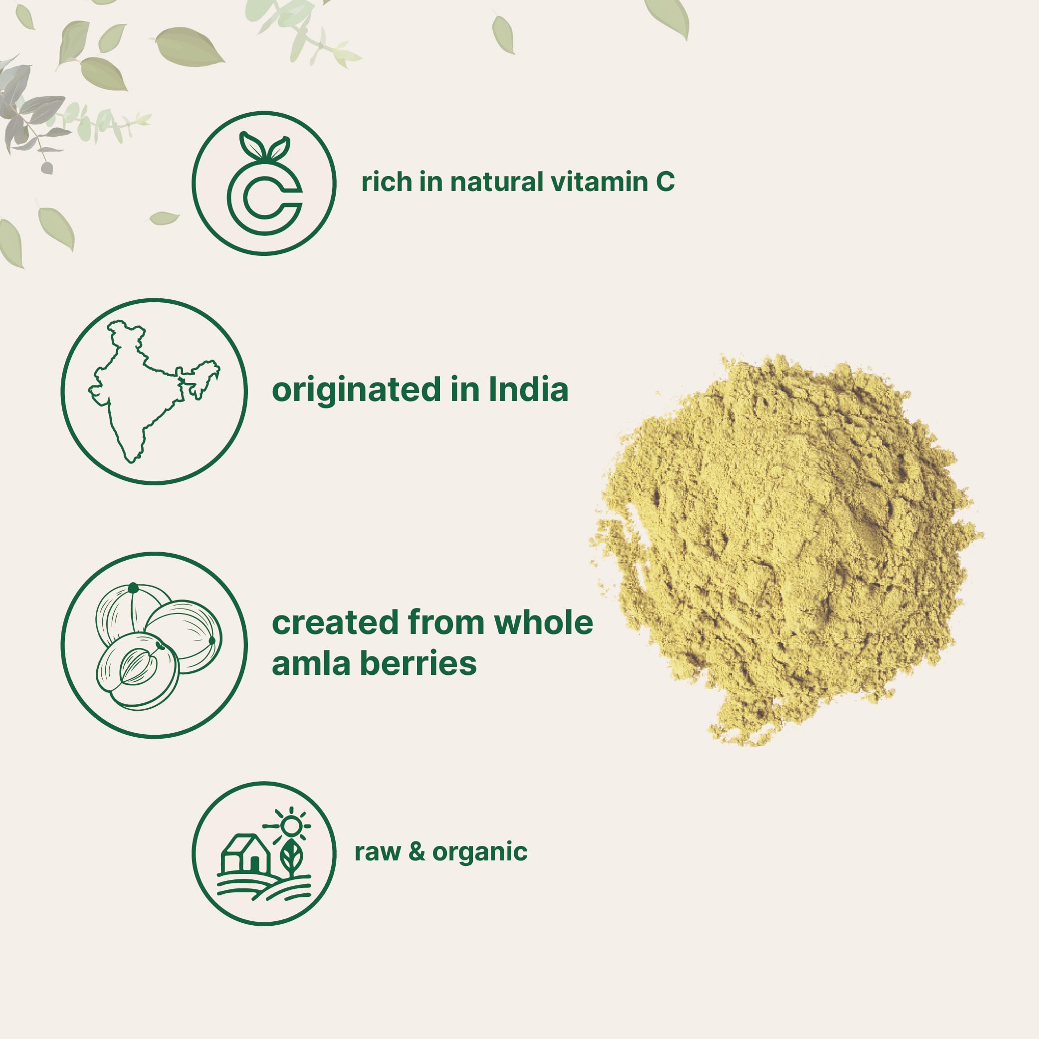 Micro Ingredients polvo de amla mezclado en batido nutritivo para incluir en dieta