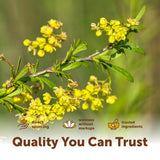 Micro Ingredients etiqueta de ingredientes destacando Berberine HCl y MCT Oil