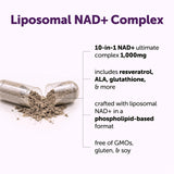 Micro Ingredients cápsula abierta mostrando mezcla liposomal y fosfolípidos para mejor estabilidad