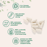 Micro Ingredients cápsula abierta mostrando el contenido en polvo, comprobación visual