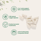Micro Ingredients cápsulas en mano para comparar tamaño y facilidad