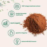 Micro Ingredients chaga disuelto en taza de té listo para consumo diario