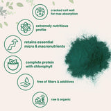 Micro Ingredients cucharada de chlorella junto al envase para comparar cantidad