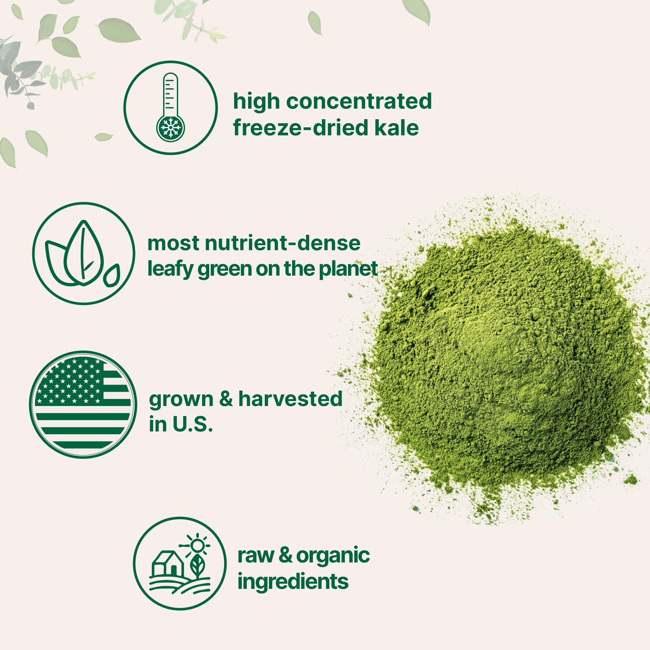 Micro Ingredients cucharada del polvo de kale demostrando tamaño de ración
