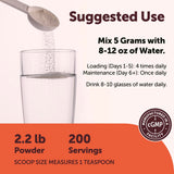 Micro Ingredients polvo mezclado en batido transparente sin sabor añadido