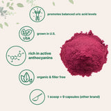 Micro Ingredients polvo añadido en batido mostrando integración fácil