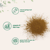 Micro Ingredients polvo de ginkgo agregado a un batido, integración rápida y sabrosa