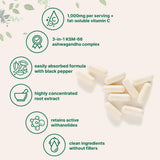 Micro Ingredients polvo de extracto de raíz en primer plano calidad concentrada
