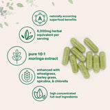 Micro Ingredients polvo de moringa cercano mostrando textura fina
