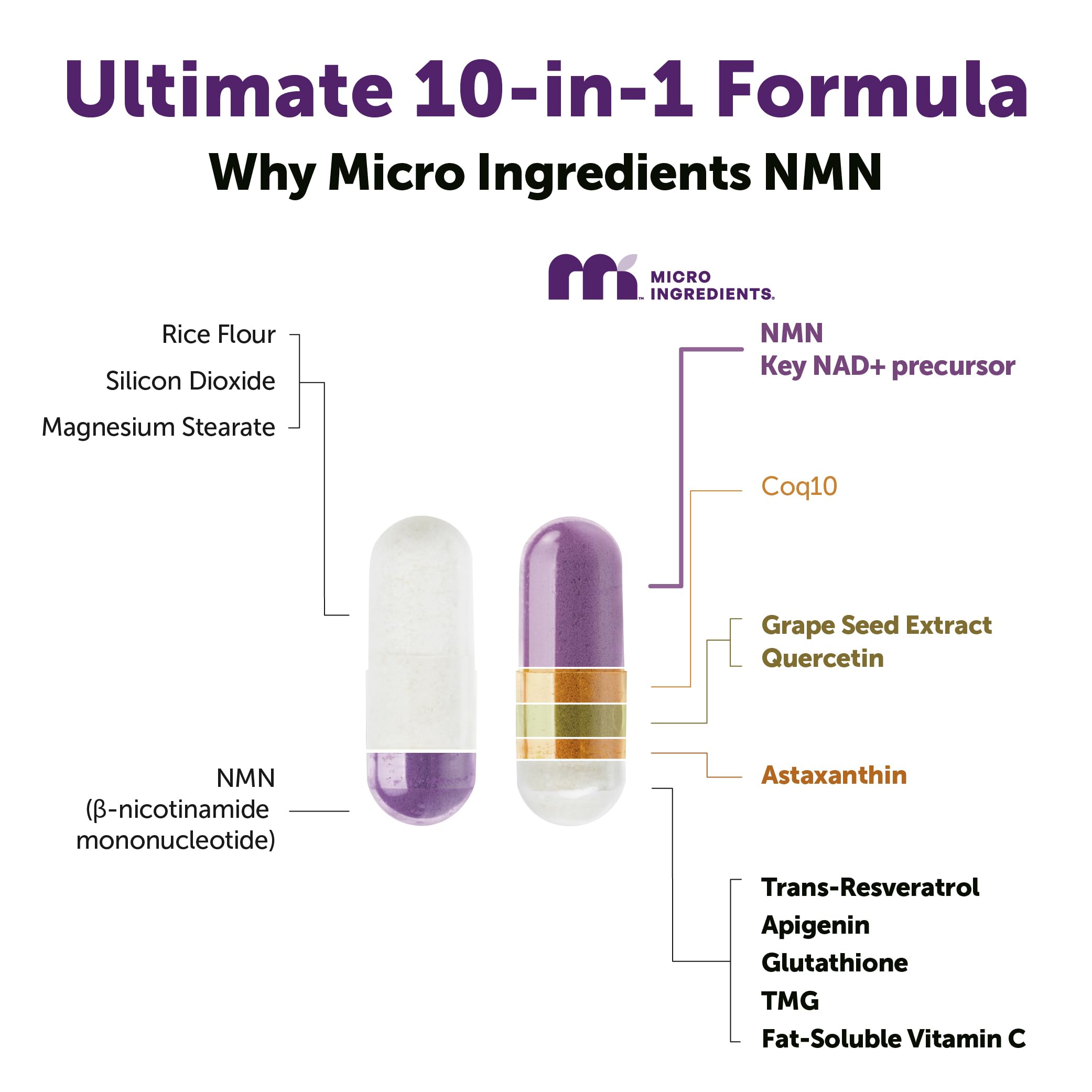 Micro Ingredients cápsula abierta que muestra fórmula interna