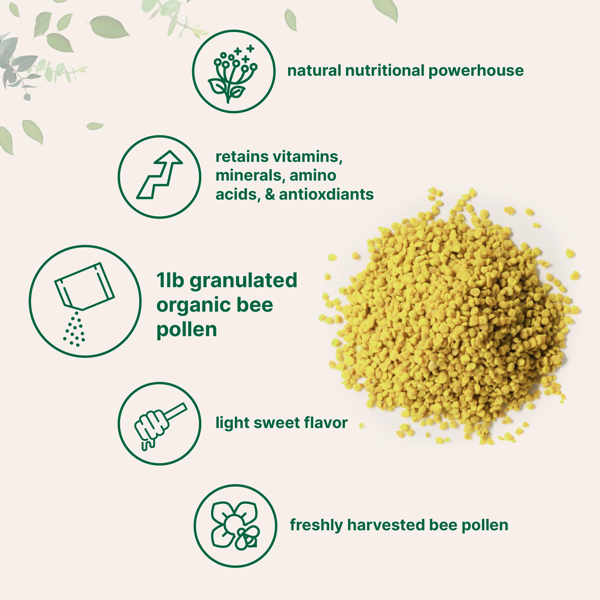 Micro Ingredients cucharada de polen para comparar tamaño y dosificación fácil