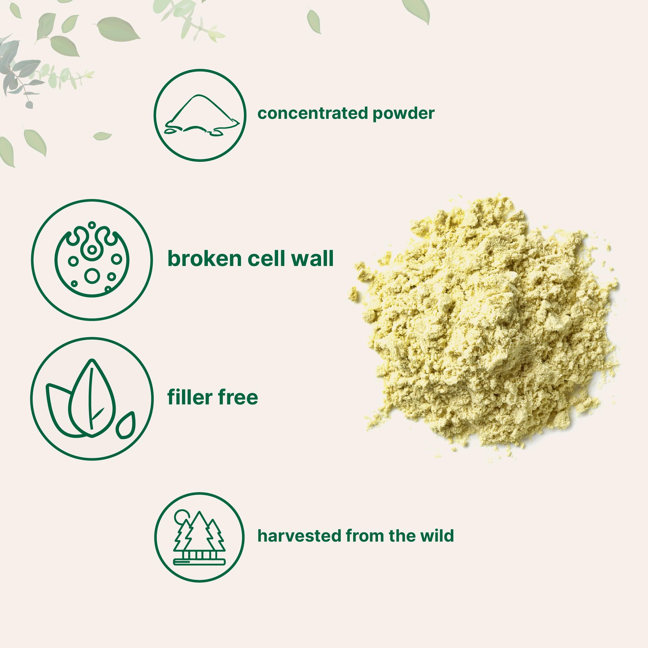 Micro Ingredients polvo de polen mezclado en batido, aporta energía vegetal