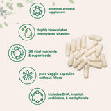 Micro Ingredients ilustración de ingredientes DHA y colina que apoyan desarrollo y función