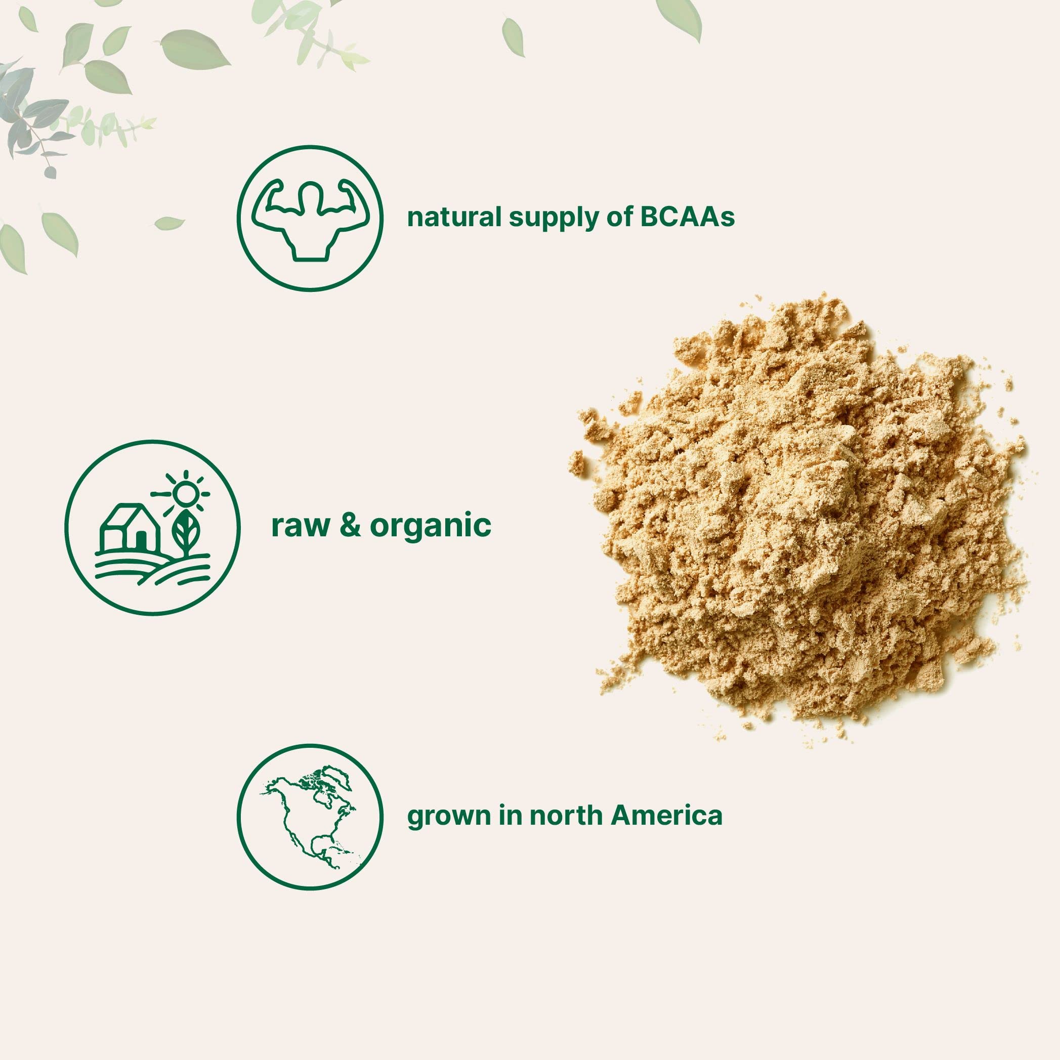 Micro Ingredients batido vegetal preparado con beneficio de proteína