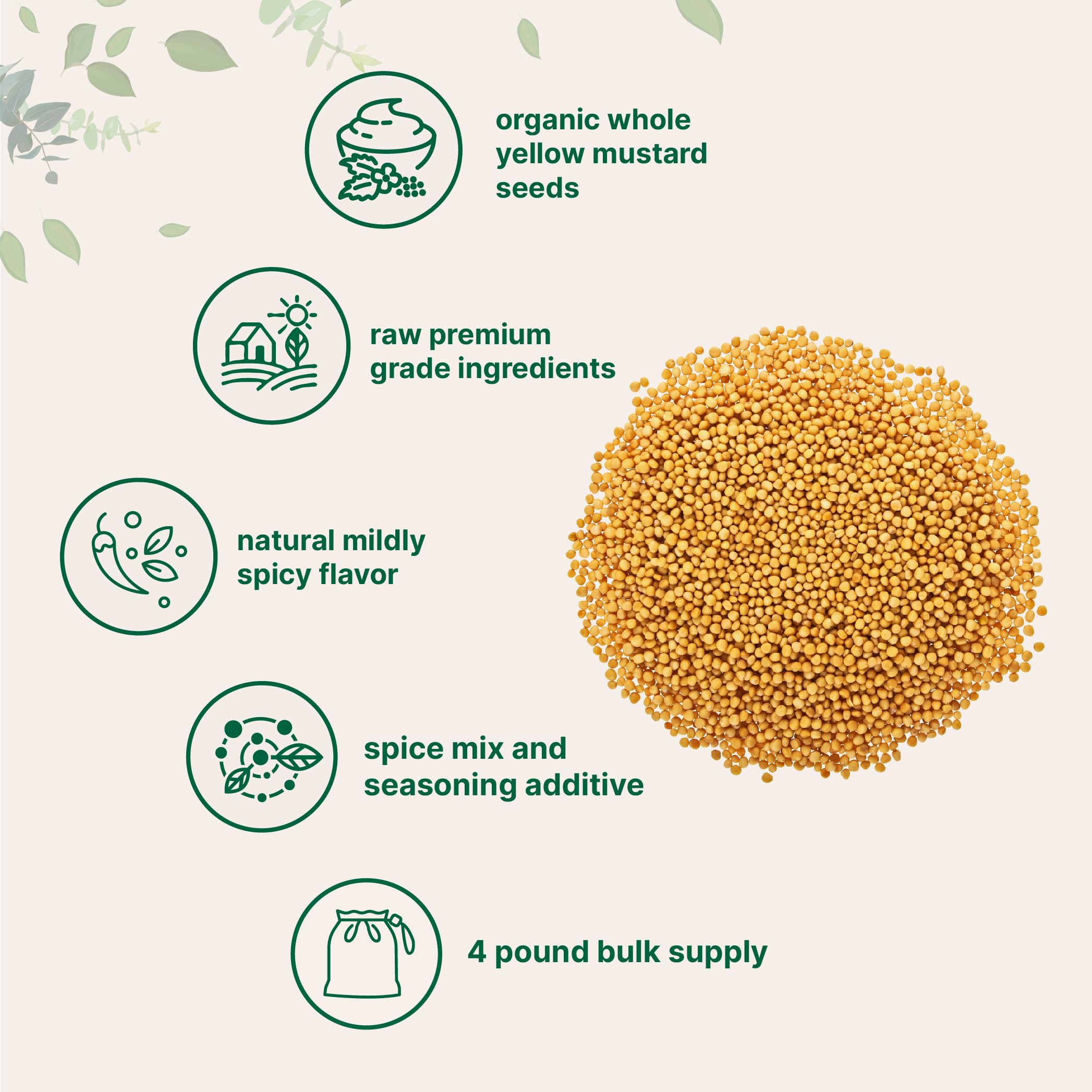 Micro Ingredients semillas de mostaza en frasco de encurtido, beneficio para preparar conservas caseras