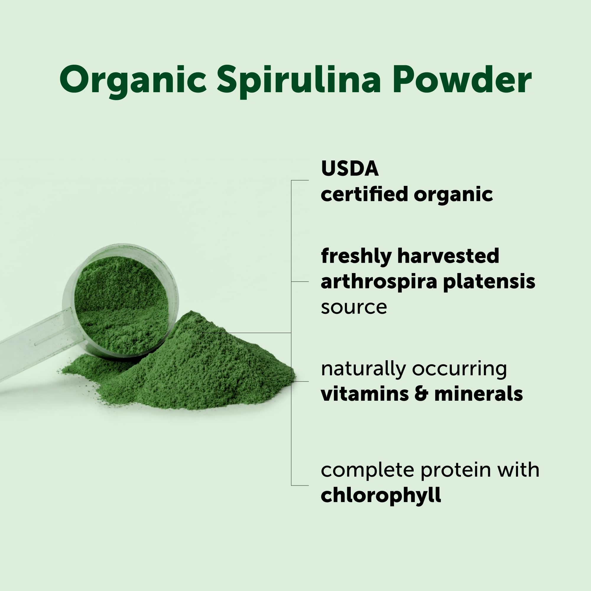 Micro Ingredients spirulina cuchara dosificadora dentro del envase para dosis fáciles