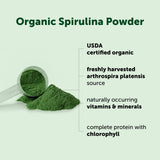 Micro Ingredients spirulina cuchara dosificadora dentro del envase para dosis fáciles