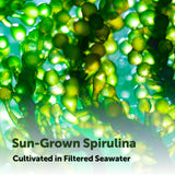 Micro Ingredients spirulina etiqueta nutricional clara y legible