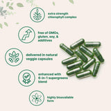 Micro Ingredients polvo verde del blend, aspecto concentrado y natural
