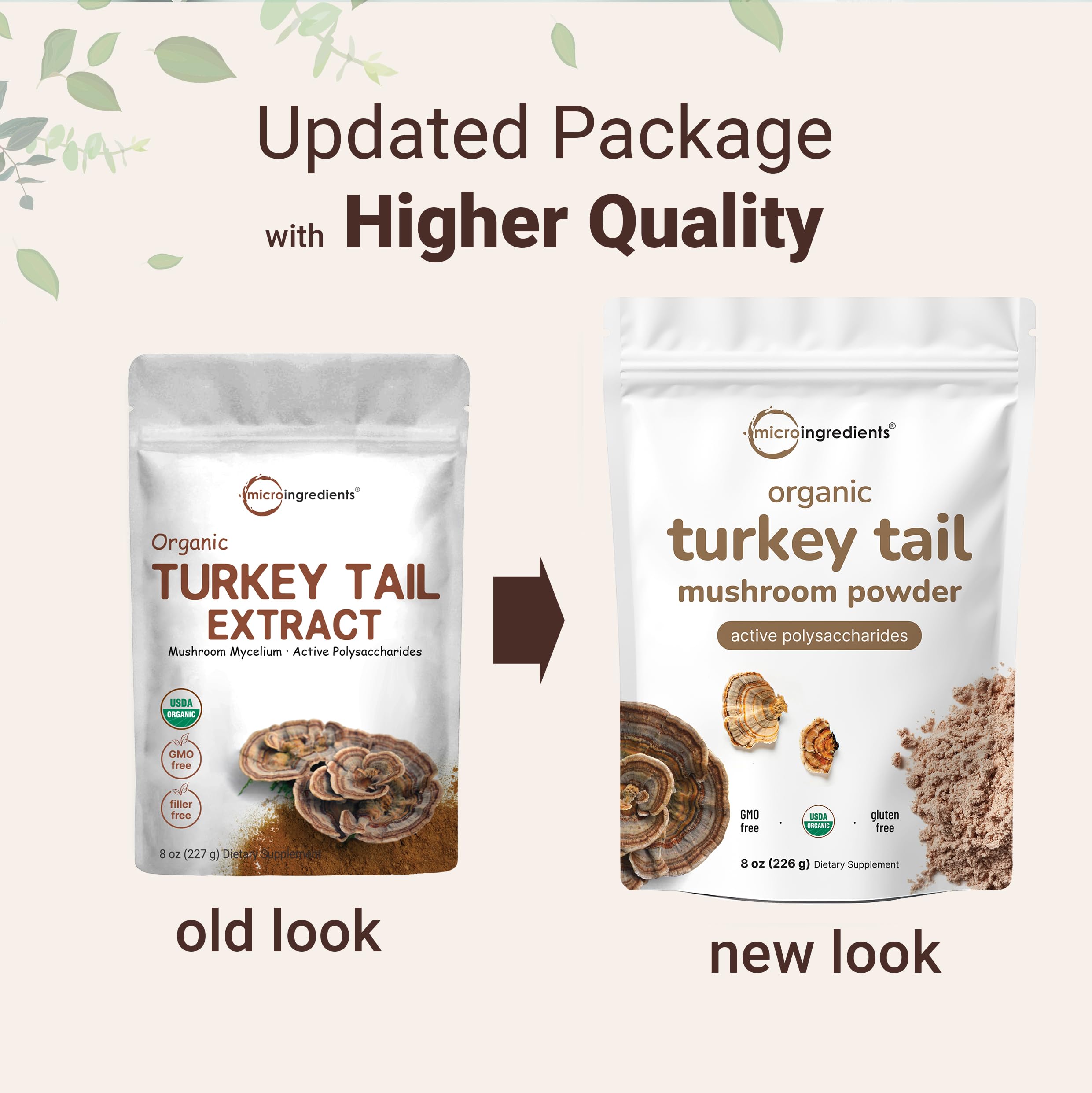 Micro Ingredients cucharada medidora con polvo de Turkey Tail listo para dosificar con precisión