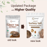 Micro Ingredients cucharada medidora con polvo de Turkey Tail listo para dosificar con precisión