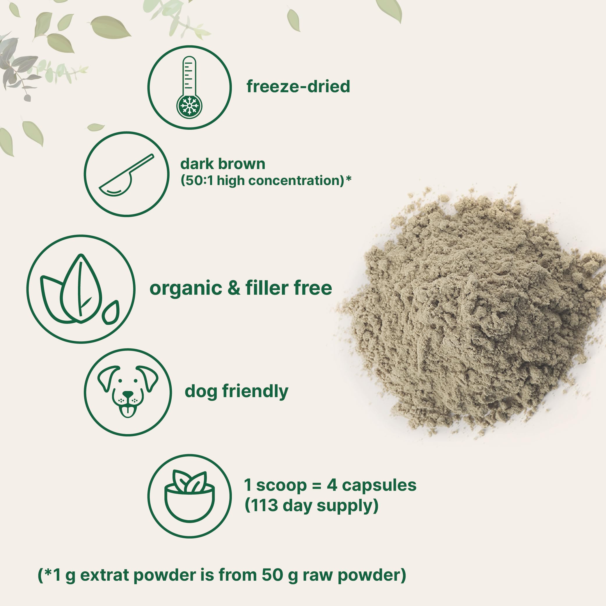 Micro Ingredients polvo Turquey Tail mezclado en batido mostrando fácil disolución y uso diario