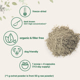 Micro Ingredients polvo Turquey Tail mezclado en batido mostrando fácil disolución y uso diario