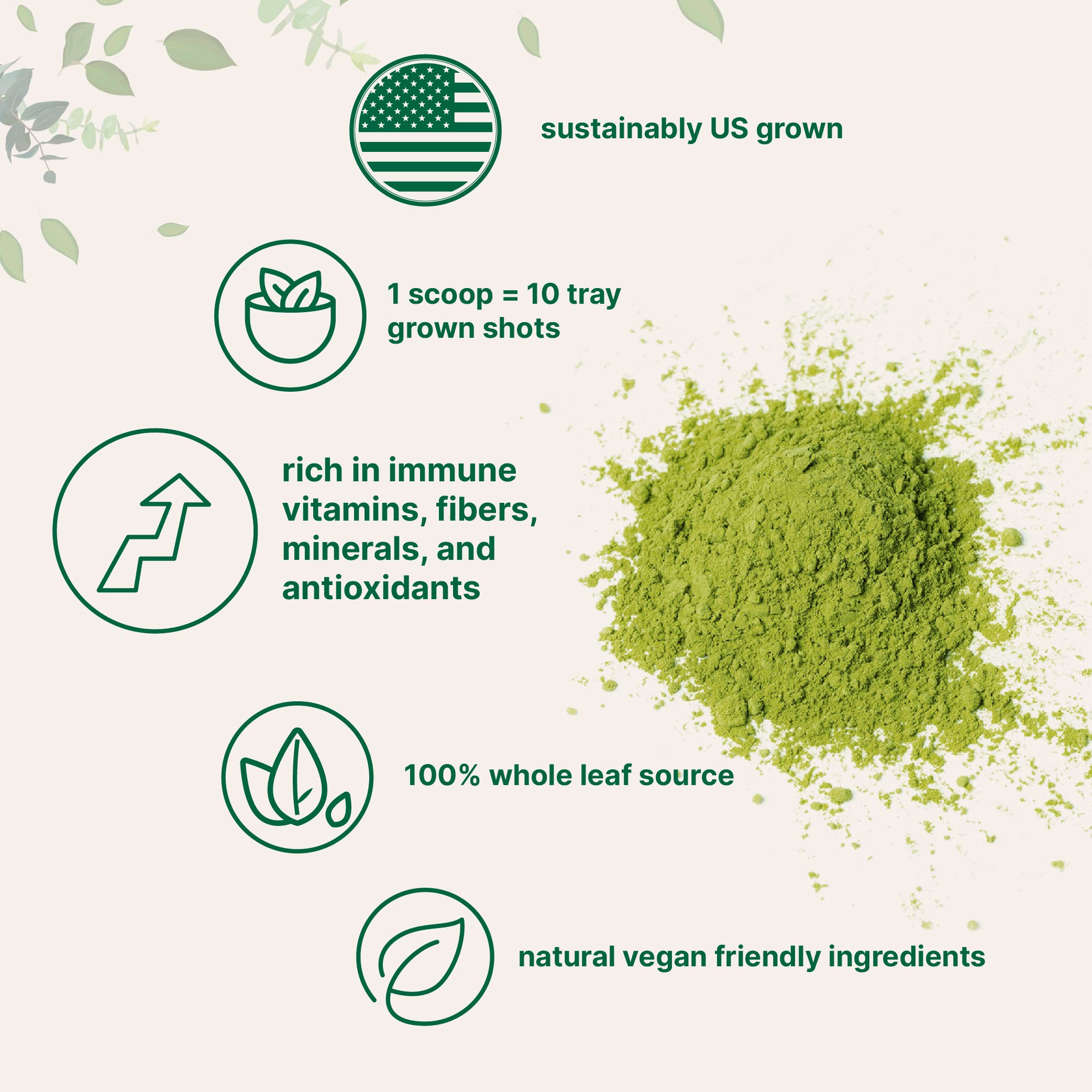 Micro Ingredients cuchara dosificadora con polvo de wheatgrass lista para medir