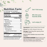 Micro Ingredients detalle de textura del polvo verde, rico en nutrientes vegetales