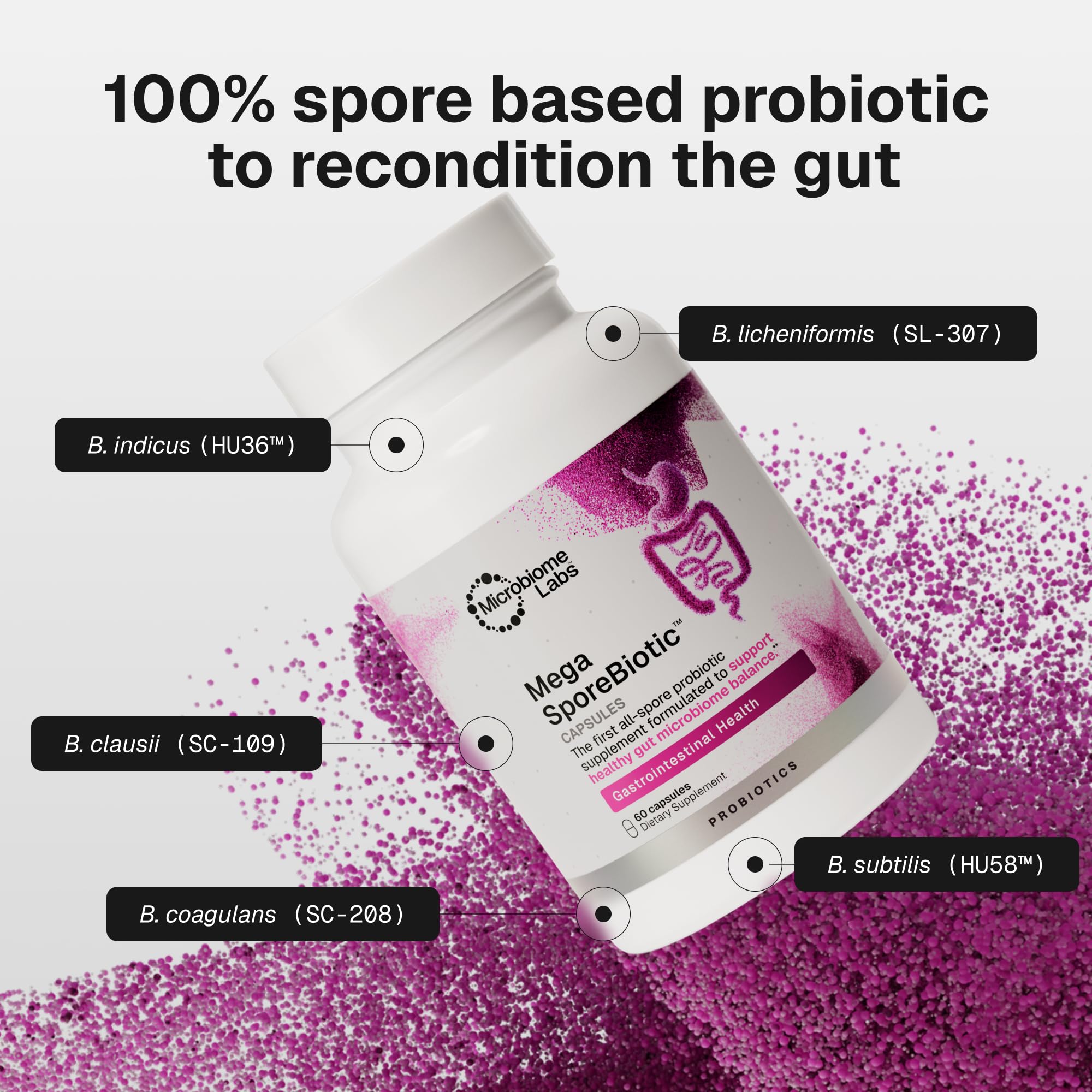 Microbiome Labs lista de ingredientes y cepas Bacillus verificada por ADN