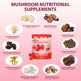 Selección de hongos (Lion's Mane, Reishi, Chaga) ilustrando la mezcla MISSYUM