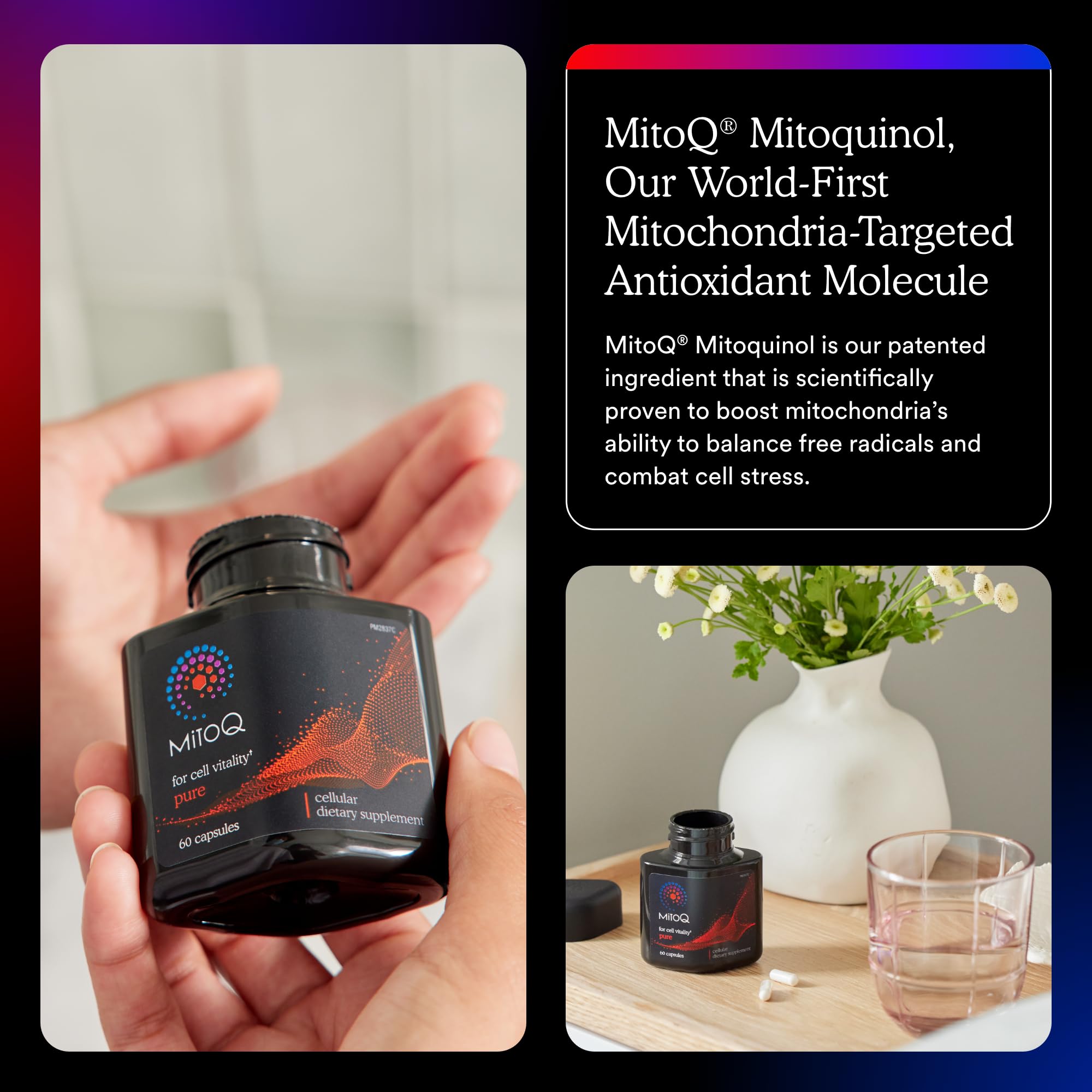 MitoQ etiqueta con datos nutricionales y claridad informativa