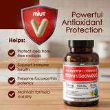 MIUT alga parda y extracto en primer plano, origen natural del carotenoide