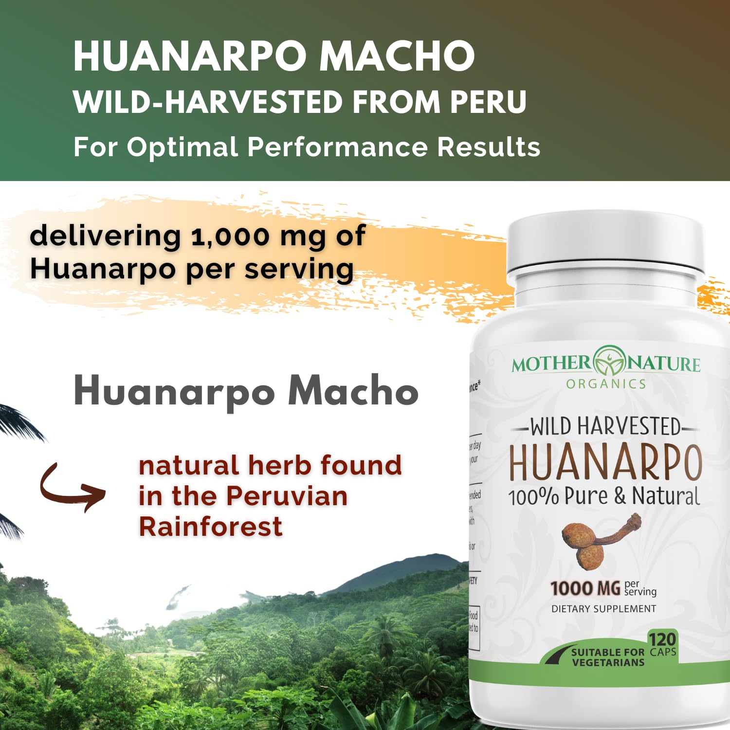Mother Nature Organics ambientación con plantas amazónicas para origen