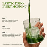 Modern Antidote primer plano de ingredientes clave para apoyo antioxidante