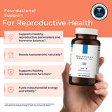 Molecular Fertility ingredientes clave visualizados para energía celular y antioxidantes