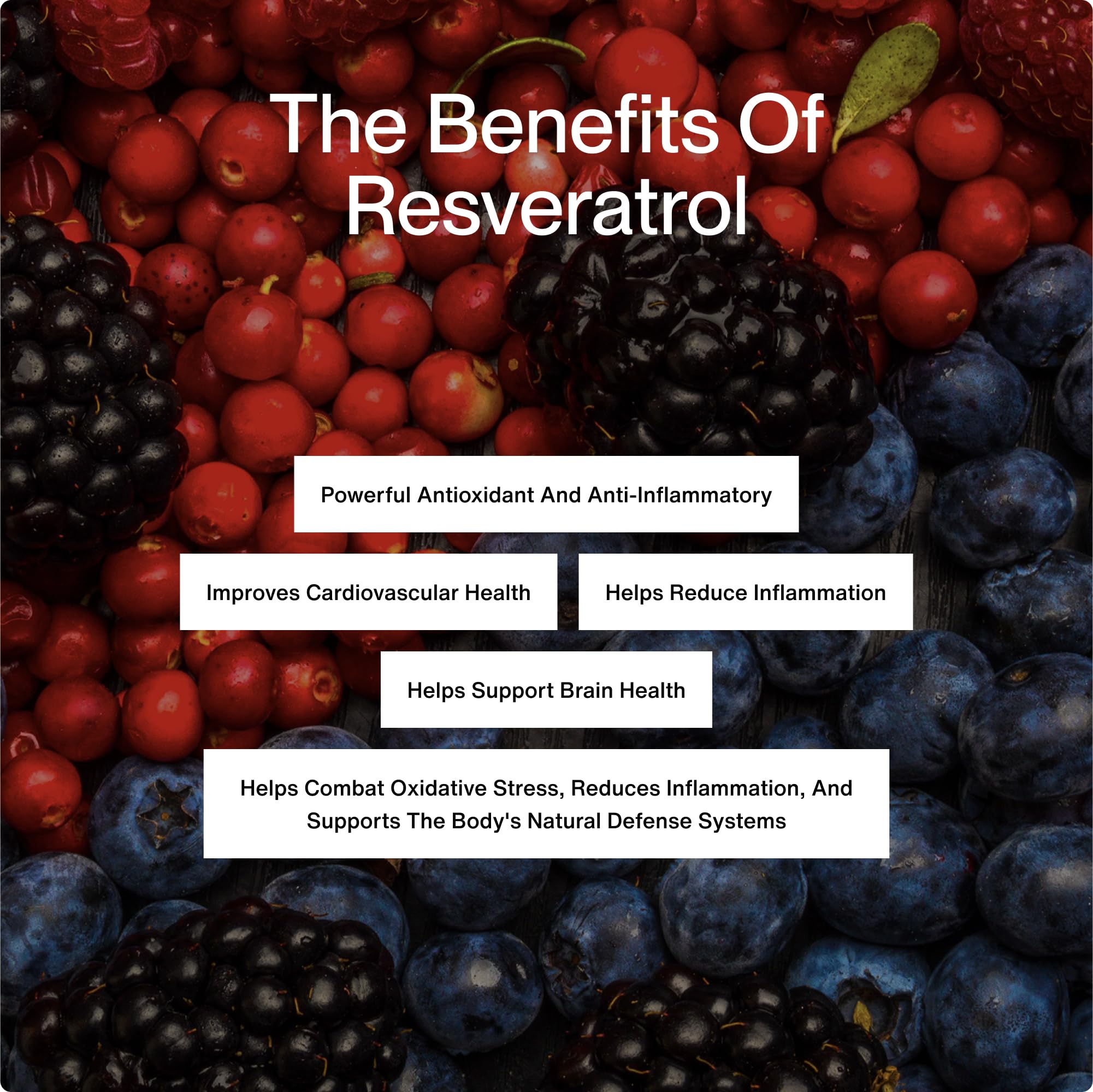 Detalle del polvo de trans-resveratrol Momentous que sugiere pureza y calidad