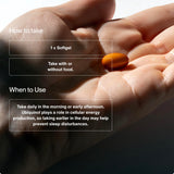 Momentous ubiquinol etiqueta de ingredientes visible para transparencia