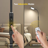 Morfone comparación de tamaño junto a una silla para escala real