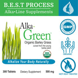Morter HealthSystem primer plano de pastillas Alka•Green mostrando textura concentrada y beneficio