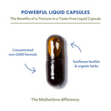 Motherlove moringa uso en cocina lactancia, integración práctica en la rutina materna
