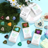 Motipuns caja abierta con musgo verde, presentación protectora y decorativa