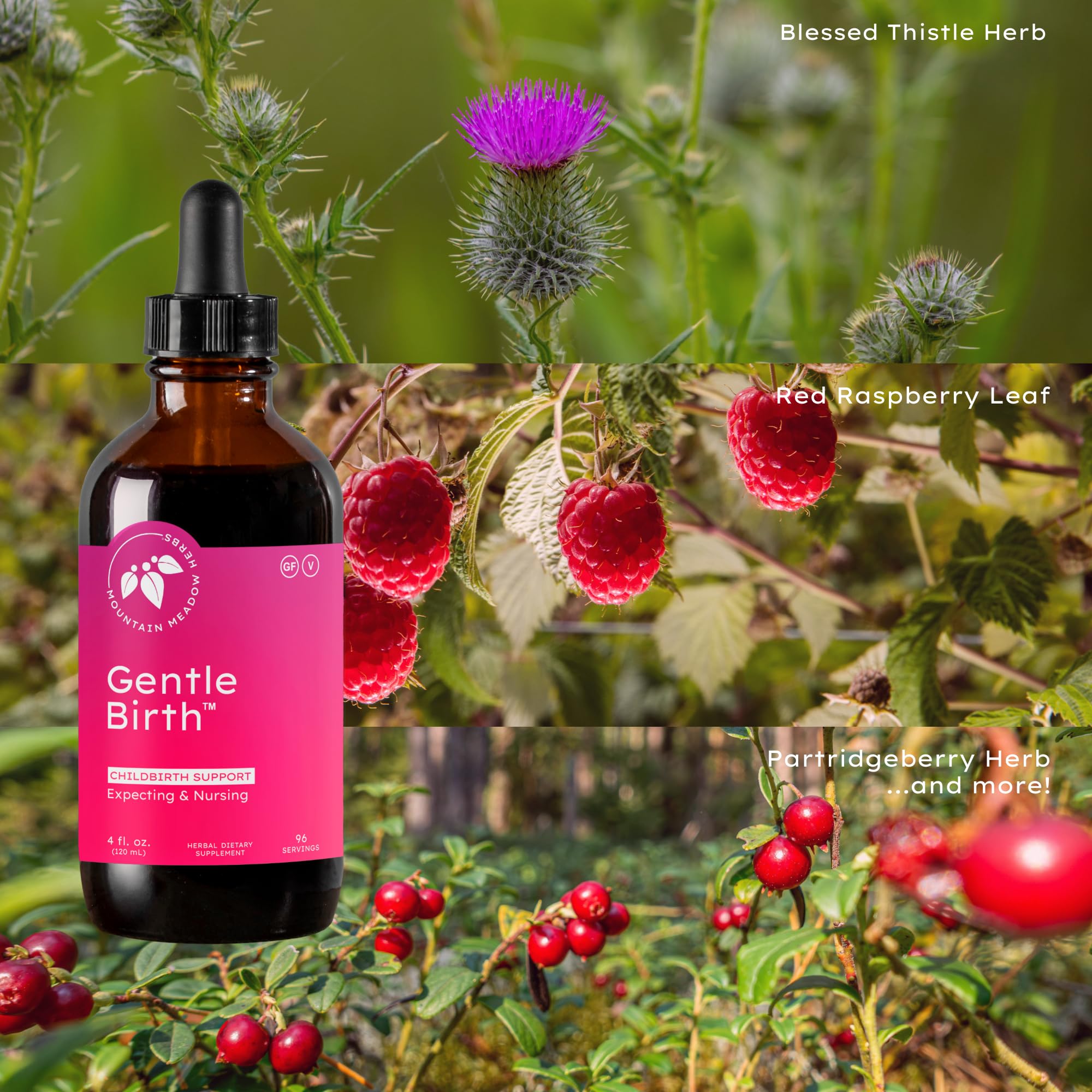 Mountain Meadow Herbs cuentagotas vertiendo extracto Gentle Birth para administración precisa